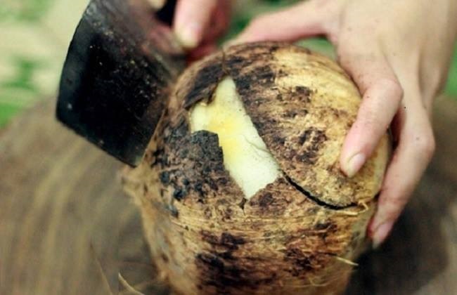 Dừa nướng thái lan