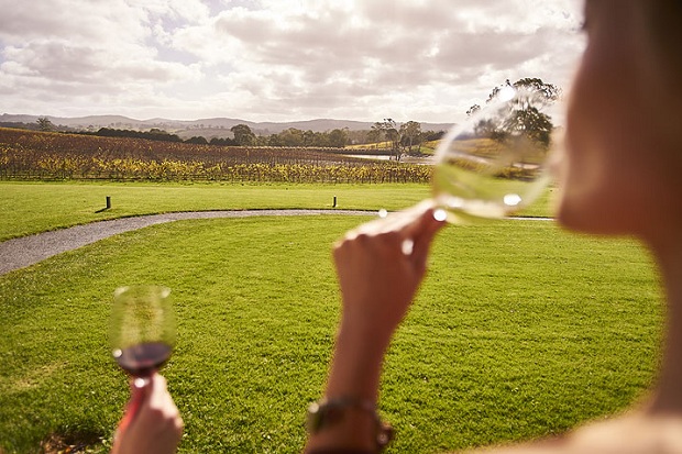 Vùng rượu vang Adelaide